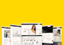 design and develop a professional wordpress website design and business website